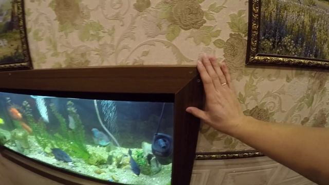 Живая картина - Аквариум встроенный в стену! смотреть онлайн