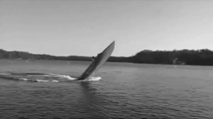 "Мощный" электро мотор с ВАЗа на резиновую лодку.