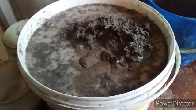 ✔Куры Несутся Круглый Год!/Дрожжи для Кур Несушек/Какие Дрожжи Давать Курам?/Как Давать Курам Дрожж смотреть онлайн