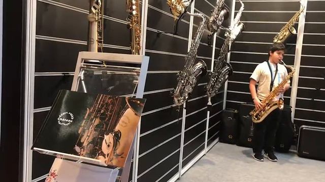 Chateau saxophone: Testing out a baritone and tenor sax смотреть онлайн