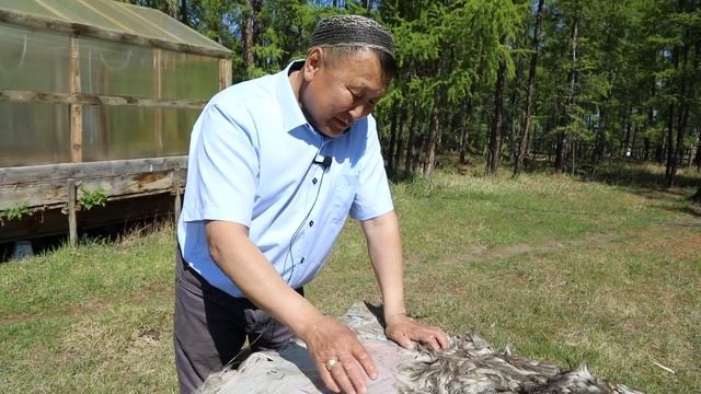 Ебугэ ситимэ смотреть онлайн