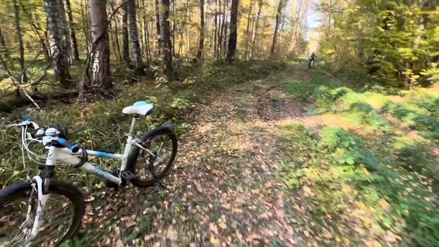 Прогулка на велосипедах по лесу. смотреть онлайн