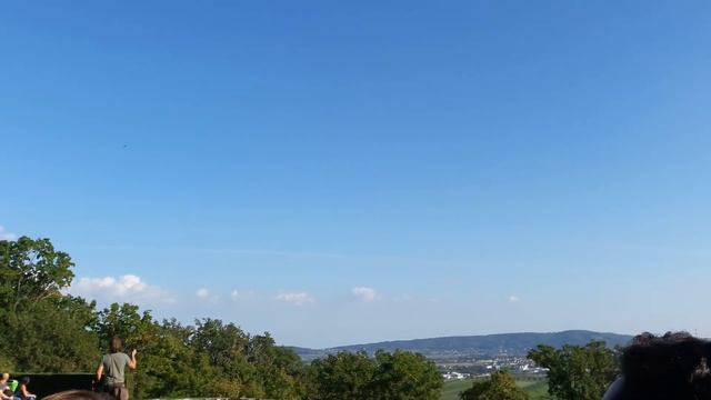 Adlershow Burg Kreuzenstein. смотреть онлайн