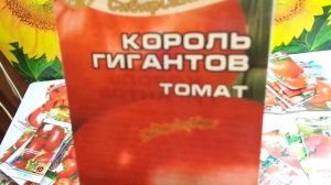 ТОМАТ КОРОЛЬ ГИГАНТОВ  -  МОЙ ЛЮБИМЫЙ ВЕЛИКАН. Ольга Чернова.