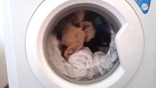 Indesit IWSC61062: cotone 40° Eco Time; srotolamento a fine ciclo смотреть онлайн