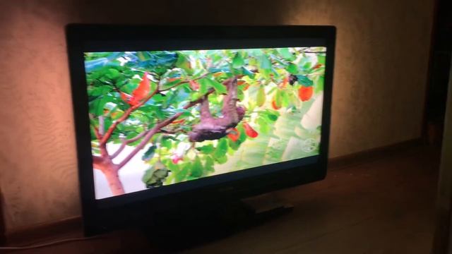 Телевизор Philips 42PFL7962D. смотреть онлайн