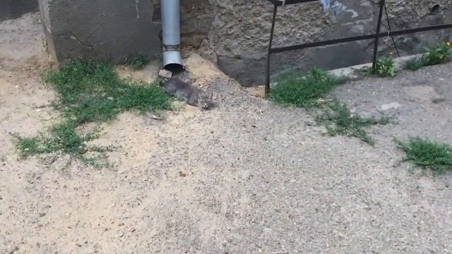 Одесса: засыпанное здание на Молдаванке смотреть онлайн