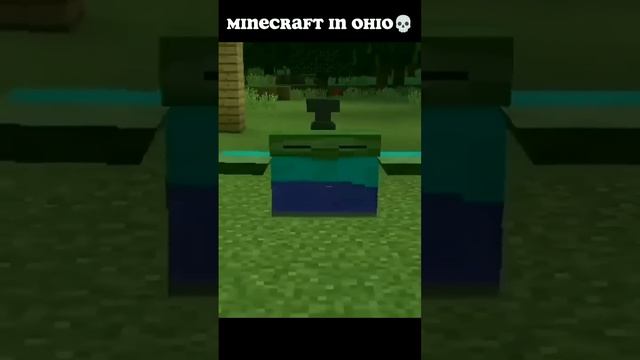 Can't Even Play Minecraft In Ohio #4 | #shorts #gaming #viral смотреть онлайн