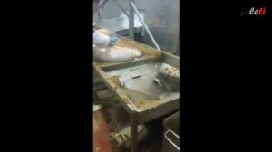 Питание собак. Рубец.