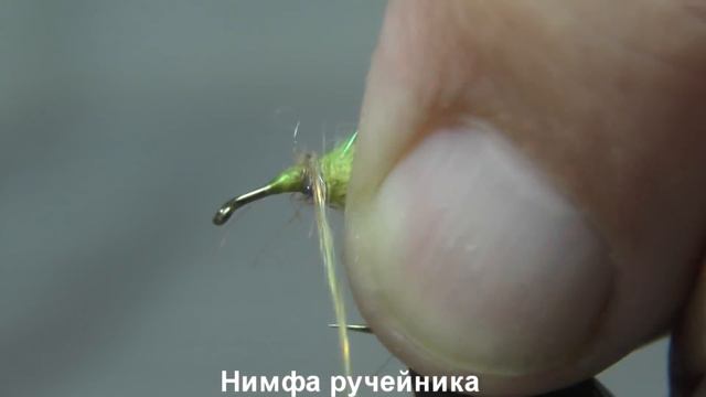 Нимфа ручейника смотреть онлайн