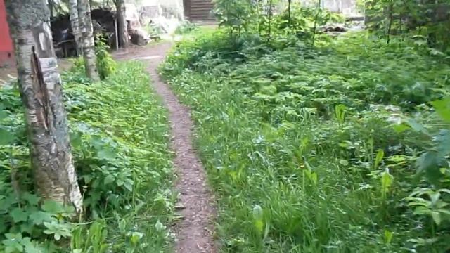 Поездка в село Ермаково  3 июня 2018 года