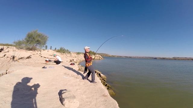 Огромный сом на джиг!!!Таких сомов я ещё не ловил!!!Эбро,Испания!!! смотреть онлайн