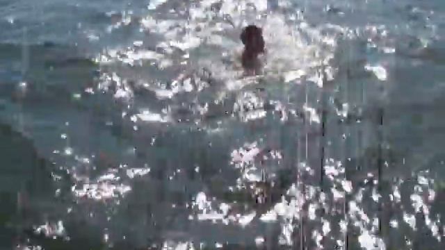Плавание в открытом море. смотреть онлайн