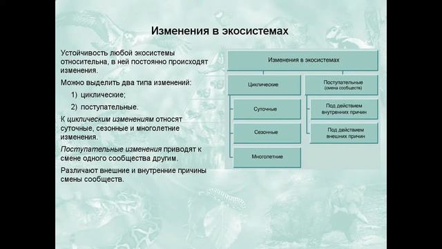 Устойчивость и динамика экосистем смотреть онлайн