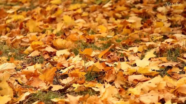 Eva Cassidy -- Autumn Leaves