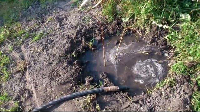 Качу поливать жимолость. Спасли акацию. смотреть онлайн