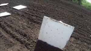 FABARM Lion H 368 тест и обзор