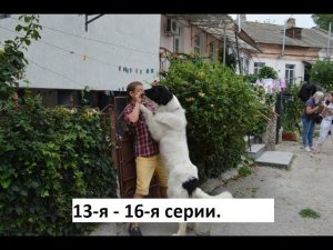 Сериал Бим  13 я   16 я серии  Анонс