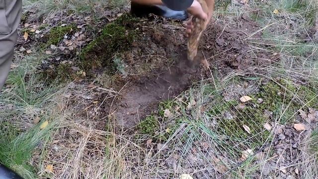 Вот это поход по грибы! Готовлю крылышки,запекаю картошку,гиганты белые смотреть онлайн