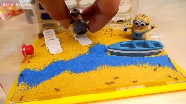 Формикарий КУБ! Миньоны в гостях у Муравьев! Новая Тигровая Бабочка! Бабочкариум. alex boyko смотреть онлайн