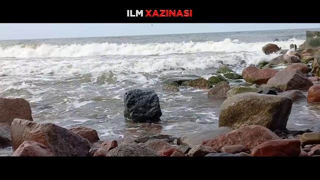 Ayollar Uchun Eng Go'zal Maruza! °Muftiy |Nuriddin Hoji Domla #yangimaruza #yangimaruzalar