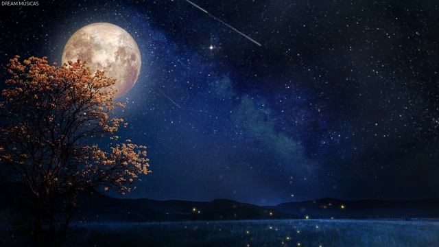 Beautiful Deep Sleep Music - Ocean Waves, Fall Asleep Fast, Relaxing Music, Sleeping Music, 12 HOUR