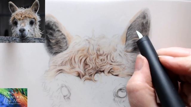Live Draw Along and Chat | Alpaca | Ears on Drafting Film | Part 4 смотреть онлайн