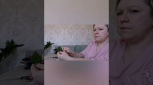 БРОШЬ из фетра "Божья коровка"