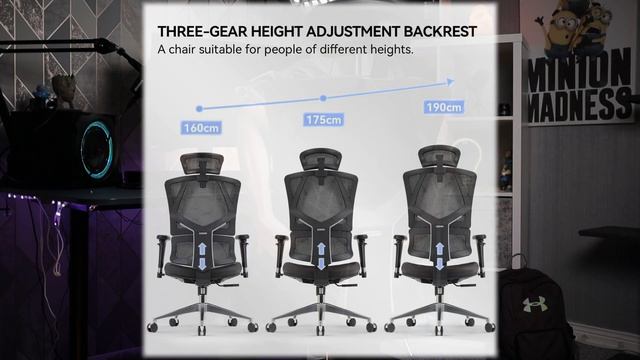 SIHOO M90D Ergonomic Home Office Chair | Best Budget Chair!