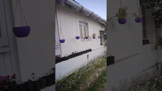 Arcadia heritage resort #darjeeling #darjeelingdiaries #roadtrip смотреть онлайн