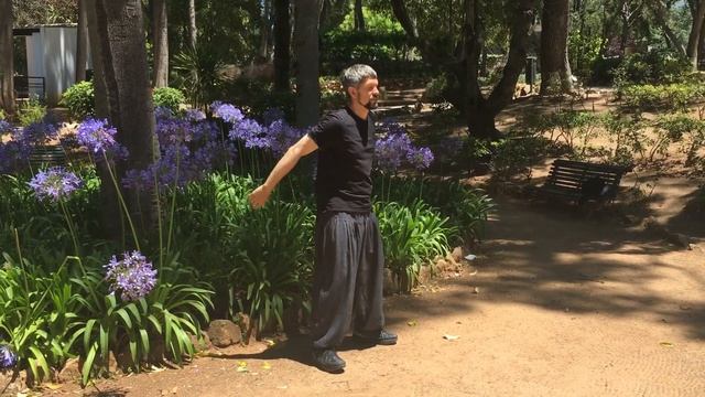 Владимир Сидоров, Хуньюань тайцзи, 24 формы, 9 неделе смотреть онлайн