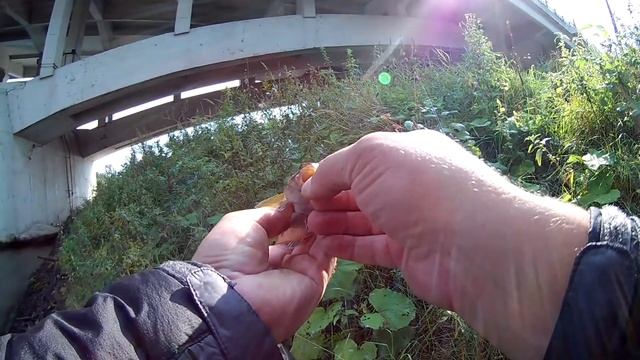 Со спиннингом на Москва реке .Где окунь?Ловля на отводной поводок.