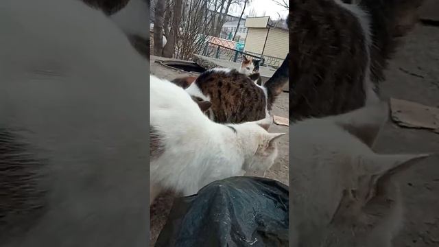 Я рада,что жители Казахстана,стали смотреть мои ролики. смотреть онлайн