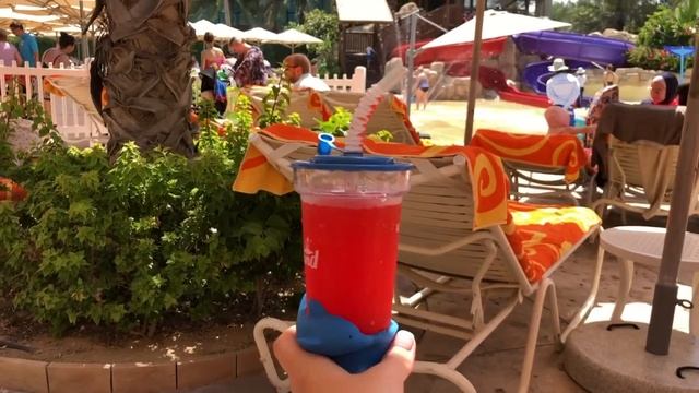 Плавание с ДЕЛЬФИНАМИ в Dolphin Bay и Аквапарк Aquaventure в отеле Atlantis The Palm Dubai смотреть онлайн