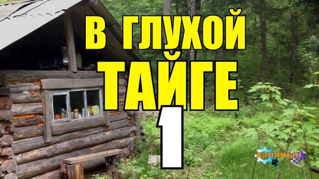  смотреть онлайн