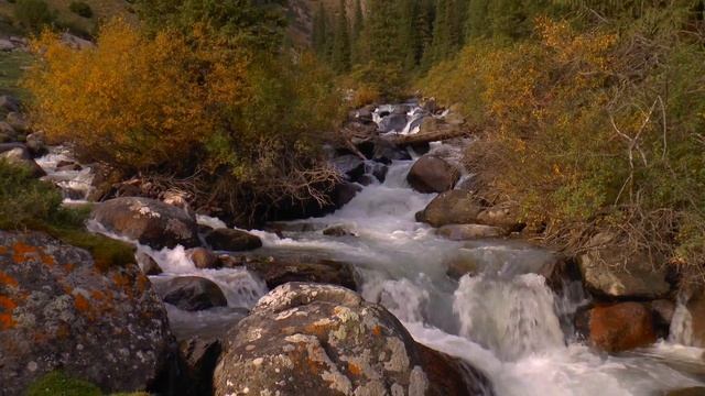 Туристический маршрут по ущелью Алтын -- Арашан. Киргизия смотреть онлайн