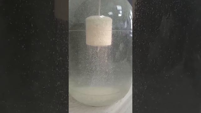 ТЕХНОПЛАНКТОН ДЛЯ ХОЛОДНОЙ ВОДЫ. РАСТВОРЕНИЕ ПРОИСХОДИТ ПРИ ТЕМПЕРАТУРЕ ВОДЫ ОТ +10 ДО +15 ГРАДУСОВ смотреть онлайн