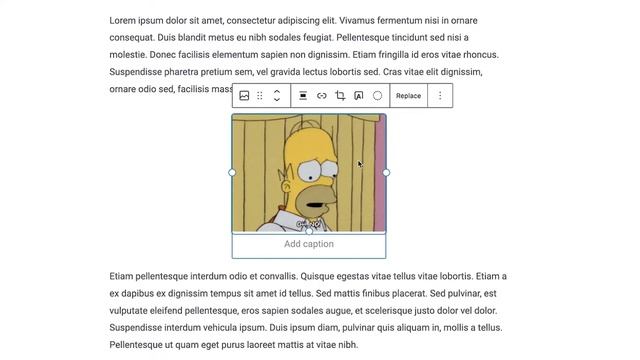 GIF Not Working In WordPress? DO THIS! смотреть онлайн