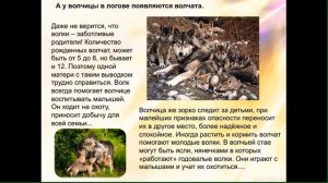 Животные весной