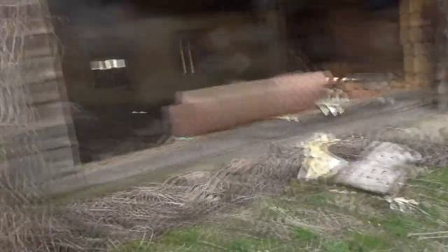 ДЕРЕВНЯ ПРИЗРАК - ЗАБРОШЕННАЯ ДЕРЕВНЯ БЕЛАРУСИ - ПУТЕШЕСТВУЕМ ПО БЕЛОРУССИИ - ПУСТОЕ СЕЛО - ПОСЁЛОК смотреть онлайн