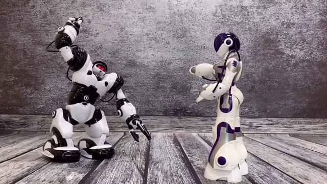 Robosapien X Обзор Арт.8006 смотреть онлайн