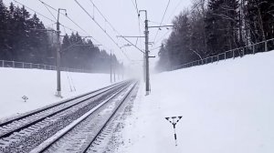 Сапсан и Ласточка