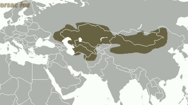 Wild Animals In Russia | Part-1 смотреть онлайн
