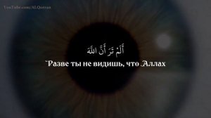 Arbi shishani|Сура 76| Aль-Инсан|АРБИ АШ-ШИШАНИ(КРАСИВОЕ ЧТЕНИЕ КОРАНА)