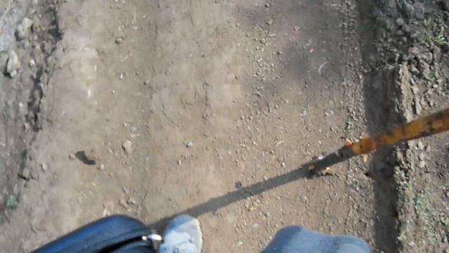 Велопешеходный поход 