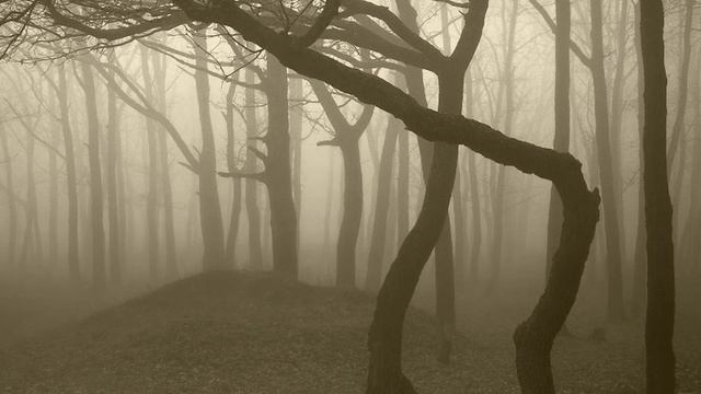 Мы просто отдыхали в загородном доме, как в один момент... смотреть онлайн