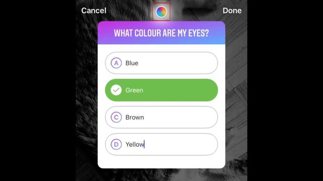 How to Use the NEW Quiz Sticker for Instagram Stories смотреть онлайн