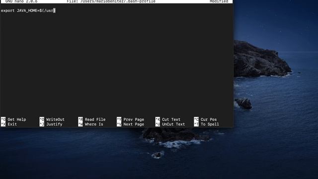 Paso 9 - Configuración variables de entorno смотреть онлайн