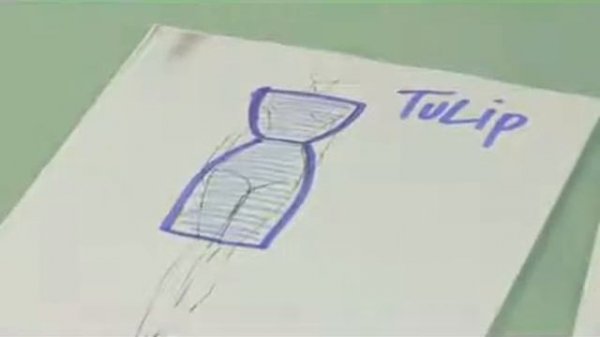 Tulip Silhouettes in Fashion Design