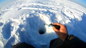 ОКУНЬ НА ЧЕРТИКА ??? Зимняя рыбалка 2018